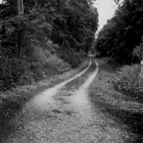 curved_road